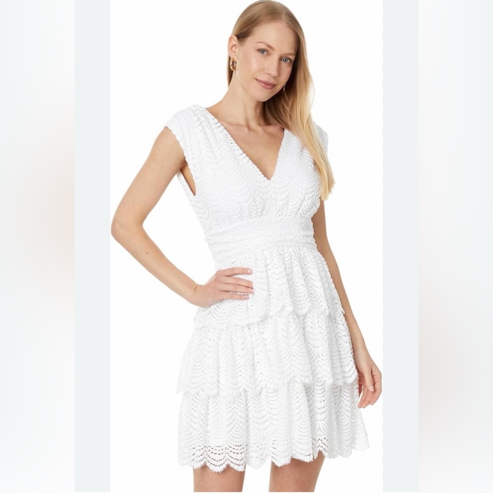 LILLY PULITZER FAYE V-NECK LACE RUFFLE DRESS RESORT WHITE SCALLOPED SHELL LACE L - Picture 14 of 15